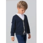 Cardigan Mayoral