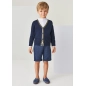 Cardigan Mayoral