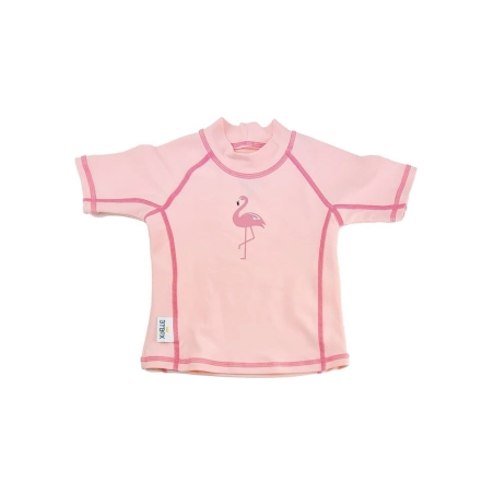 Camiseta Manga Corta Flamingos de Btbox