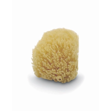 Esponja natural para bebé de Jané