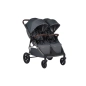 Silla de Paseo Gemelar Mast Twin X