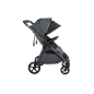 Silla de Paseo Gemelar Mast Twin X