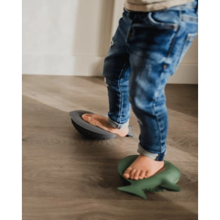 Peces Sensoriales Estímulo Intenso de Ortonature