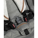 Silla de Paseo Parcel de Joie Signature Oyster