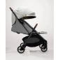 Silla de Paseo Parcel de Joie Signature