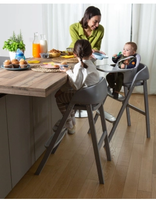 Trona Evolutiva Crescendo Up de Chicco