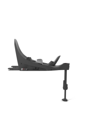Base T Cybex