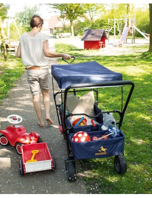 Carrito Plegable Paxi DLX Comfort de Pinolino