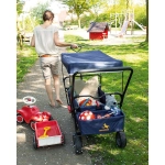 Carrito Plegable Paxi DLX Comfort de Pinolino Azul