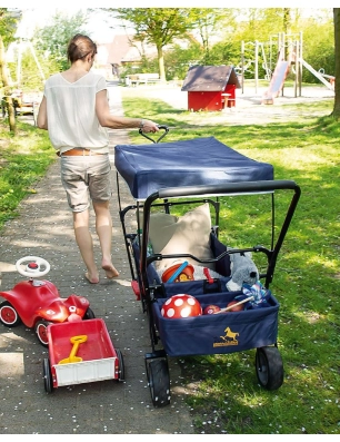 Carrito Plegable Paxi DLX Comfort de Pinolino Azul