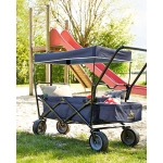 Carrito Plegable Paxi DLX Comfort de Pinolino Azul