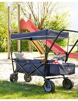 Carrito Plegable Paxi DLX Comfort de Pinolino Azul