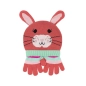 Conjunto Gorro Y Guantes De Zoocchini