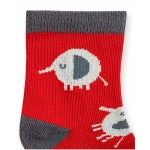 Set 3 Calcetines Ptti Zoo De Tuc Tuc