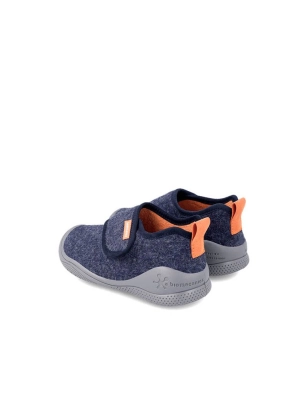 Biohome Basic Biomecanics