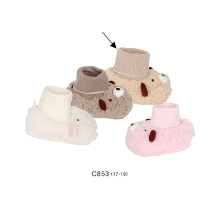 Primeros Pasos C853