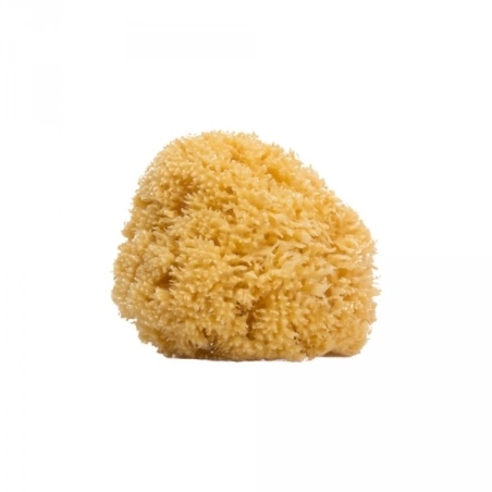 Esponja Natural Grande Suavinex