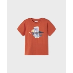 Camiseta M/C Lenticular De Mayoral