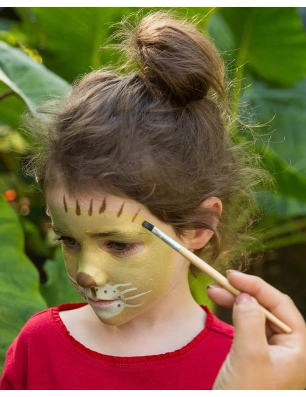 Kit Maquillaje Leon/Jirafa Namaki