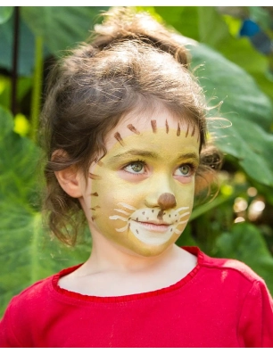 Kit Maquillaje Leon/Jirafa Namaki