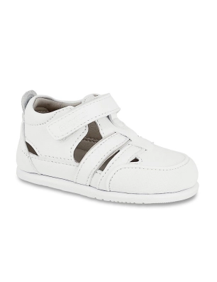 Cangrejera Respetuosa De Mayoral