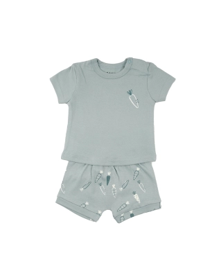 Conjunto 2 Piezas De Babybol