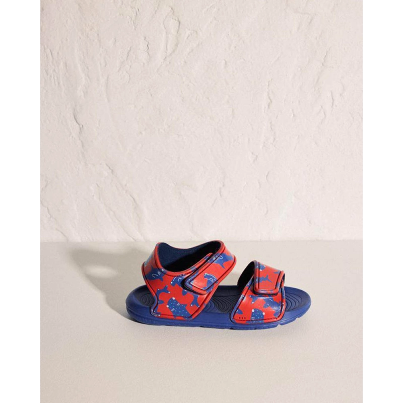 Sandalias De Ysabel Mora