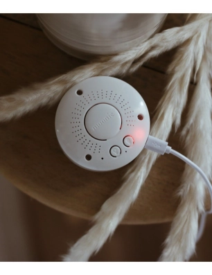 Peluche Orgánico Detector del Lloro Moonie  Oso Honey