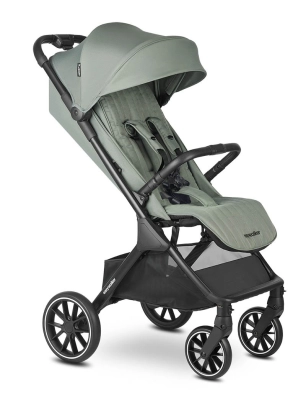 Silla de Paseo Easywalker Jackey 2 XL Agave Green
