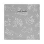 Bolsa Crossbody Toile de Jouy de Pasito a Pasito