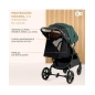 Silla de Paseo Mitzy de Kinderkraft