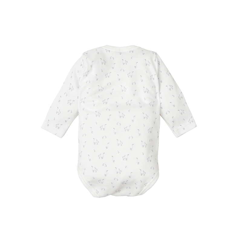 Body C/Americano Roble De Babidu