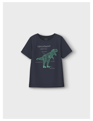 Camiseta Dino De Name It