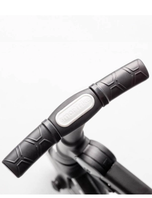 Silla de Paseo y Triciclo Smartrike Traveler