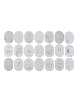 Tarjetas Milestone Baby Bunny de Little Dutch