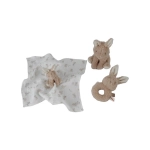 Caja de Regalo Baby Bunny de Little Dutch