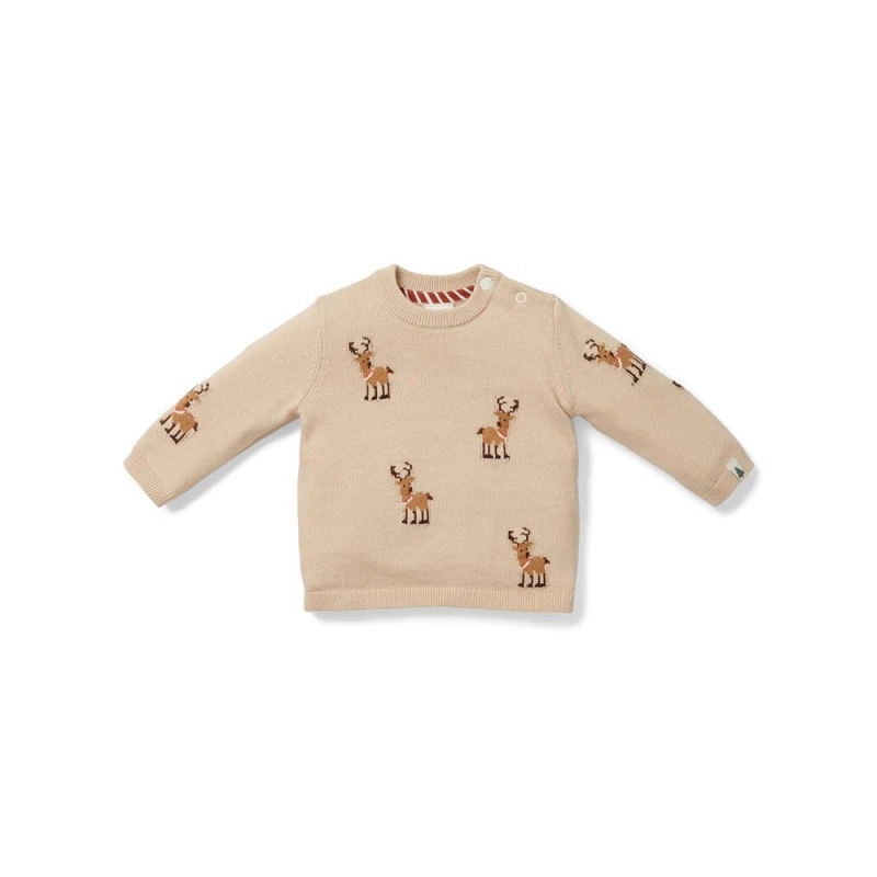 Jersey Navidad Borreguito Reno de Little Dutch