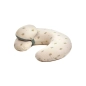 Cojín de Lactancia con Almohada de Jané