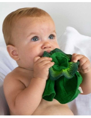 Mini Dou Dou Mordedor Kendall The Kale Oli&Carol