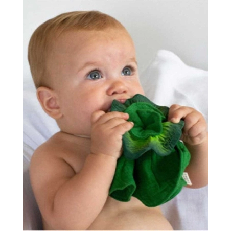 Mini Dou Dou Mordedor Kendall The Kale Oli&Carol