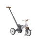 Triciclo Evolutivo Fox de Olmitos