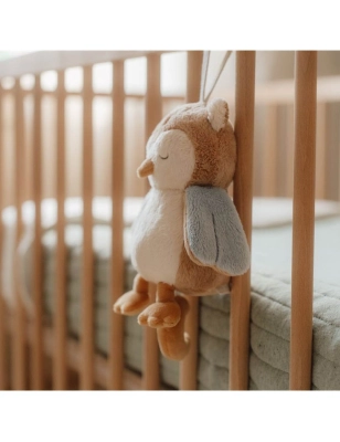 Búho Musical Forest Friends de Little Dutch