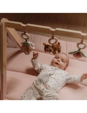 Gimnasio Fairy Garden de Little Dutch