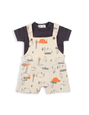 Conjunto 2 Piezas De Babybol