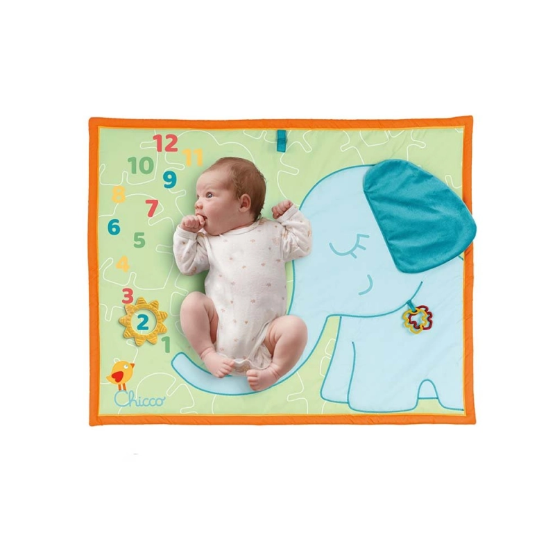 Alfombra Fotográfica Mensual de Chicco