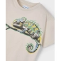 Camiseta M/C Chameleon De Mayoral