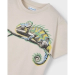 Camiseta M/C Chameleon De Mayoral
