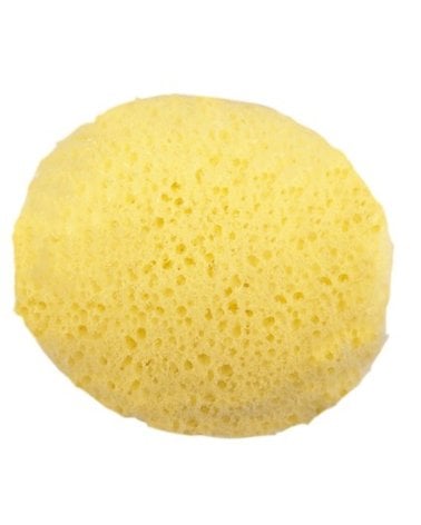 Esponja hidrófila de poro grueso de Olmitos