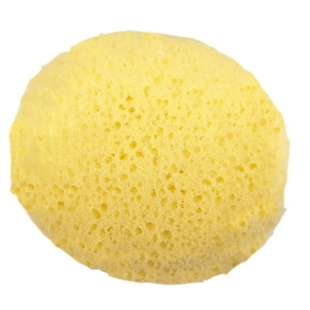 Esponja hidrófila de poro grueso de Olmitos