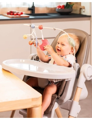 Arco de Juegos para Trona Chicco Polly Armonia